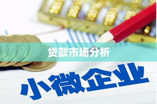 泽库贷款市场分析