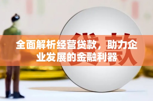 泽库全面解析经营贷款，助力企业发展的金融利器