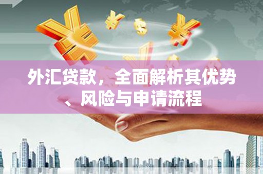 泽库外汇贷款，全面解析其优势、风险与申请流程