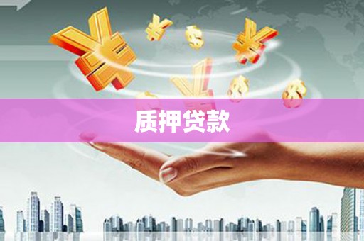 泽库质押贷款