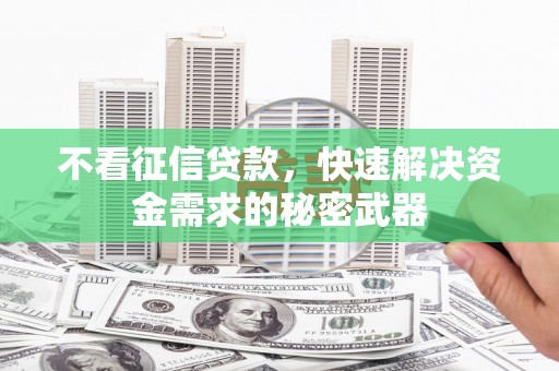 泽库不看征信贷款，快速解决资金需求的秘密武器