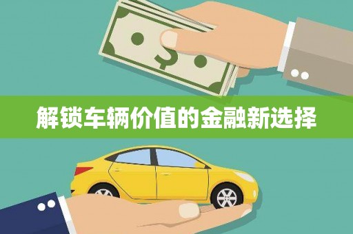 泽库解锁车辆价值的金融新选择