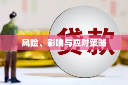 泽库风险、影响与应对策略