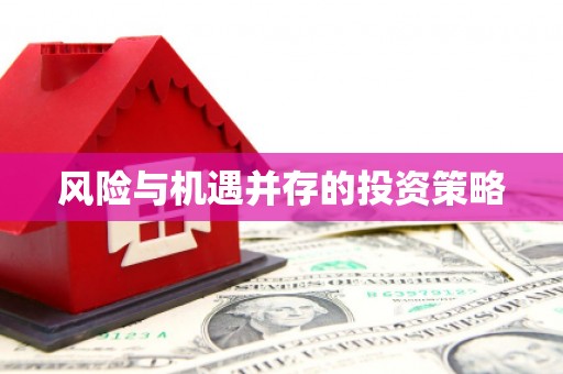 泽库风险与机遇并存的投资策略
