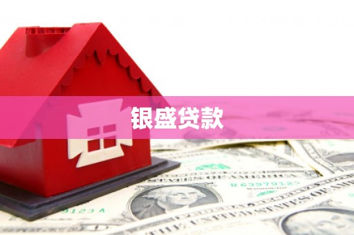 泽库银盛贷款