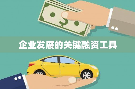 泽库企业发展的关键融资工具