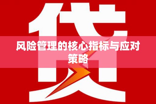 泽库风险管理的核心指标与应对策略
