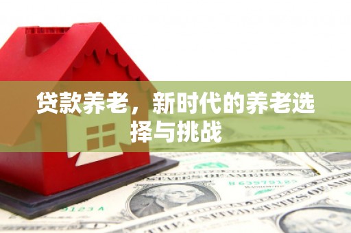 泽库贷款养老，新时代的养老选择与挑战