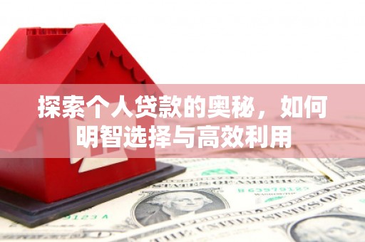 泽库探索个人贷款的奥秘，如何明智选择与高效利用