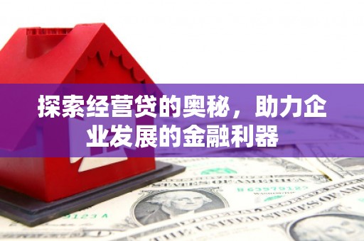 泽库探索经营贷的奥秘，助力企业发展的金融利器