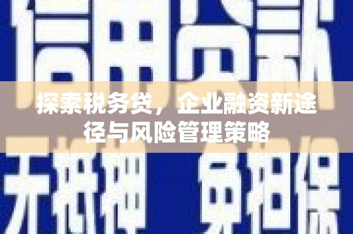 泽库探索税务贷，企业融资新途径与风险管理策略