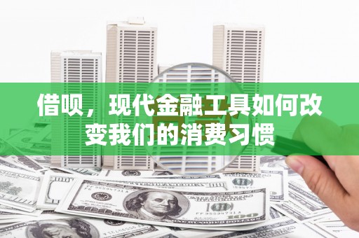 泽库借呗，现代金融工具如何改变我们的消费习惯