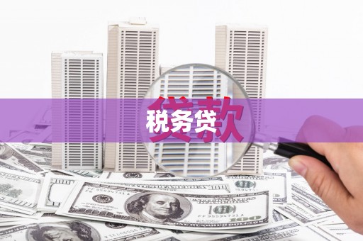 泽库税务贷