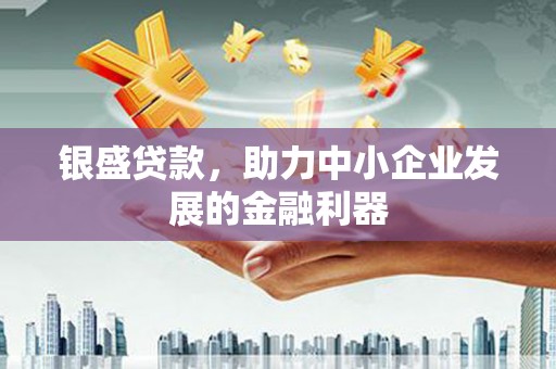 泽库银盛贷款，助力中小企业发展的金融利器
