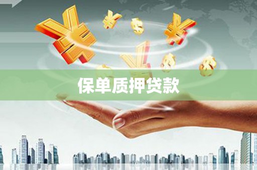 泽库保单质押贷款