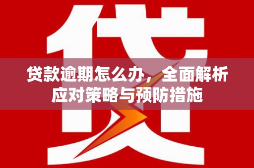 泽库贷款逾期怎么办，全面解析应对策略与预防措施