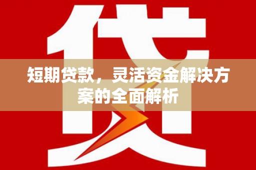 泽库短期贷款，灵活资金解决方案的全面解析