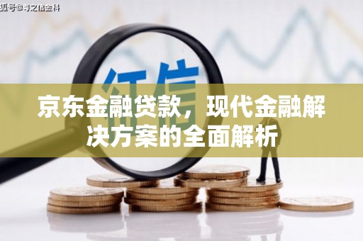 泽库京东金融贷款，现代金融解决方案的全面解析