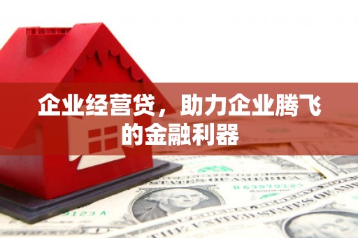 泽库企业经营贷，助力企业腾飞的金融利器