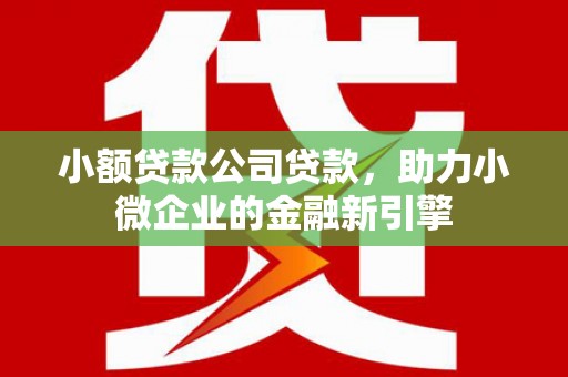 泽库小额贷款公司贷款，助力小微企业的金融新引擎