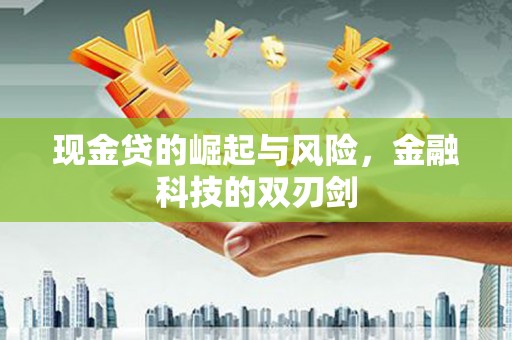 泽库现金贷的崛起与风险，金融科技的双刃剑