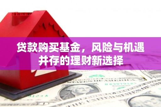 泽库贷款购买基金，风险与机遇并存的理财新选择