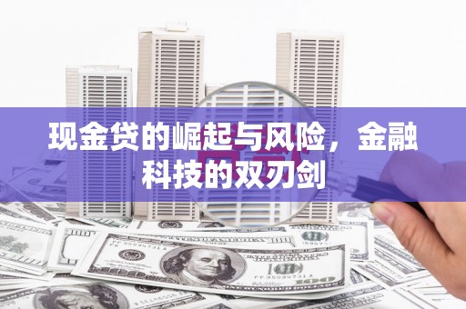 泽库现金贷的崛起与风险，金融科技的双刃剑