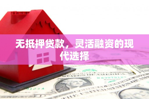 泽库无抵押贷款，灵活融资的现代选择