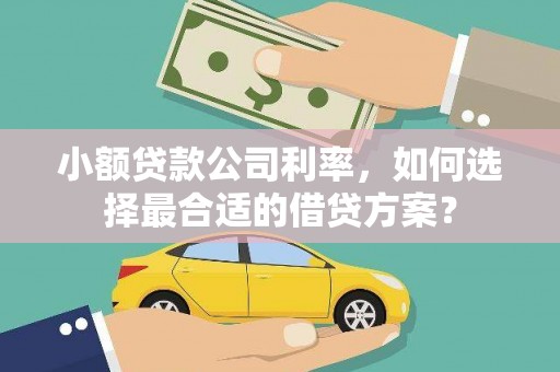 泽库小额贷款公司利率，如何选择最合适的借贷方案？