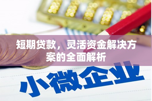 泽库短期贷款，灵活资金解决方案的全面解析