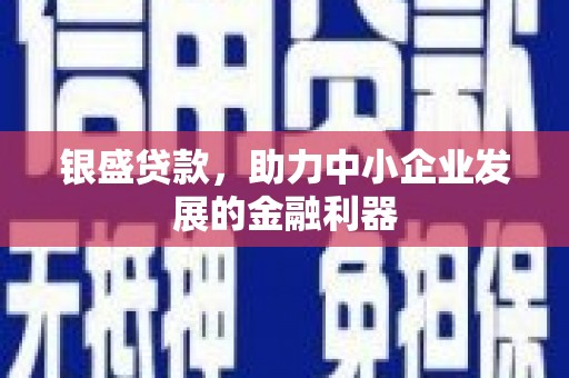 泽库银盛贷款，助力中小企业发展的金融利器