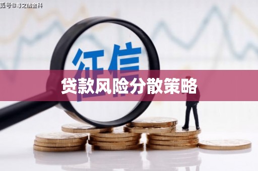 泽库贷款风险分散策略