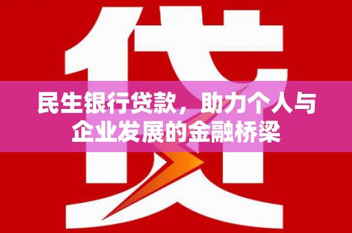 泽库民生银行贷款，助力个人与企业发展的金融桥梁