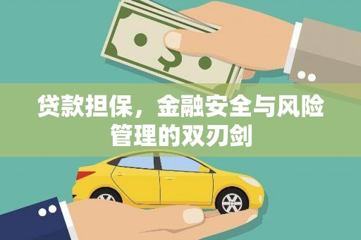 泽库贷款担保，金融安全与风险管理的双刃剑
