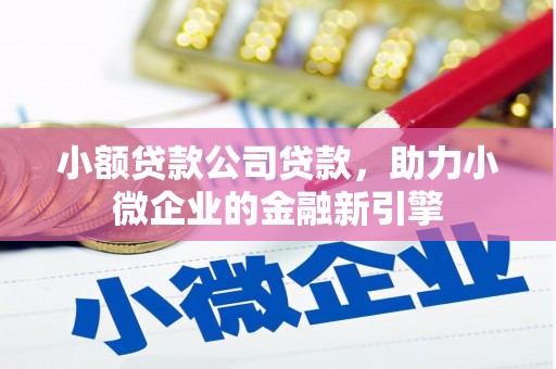泽库小额贷款公司贷款，助力小微企业的金融新引擎