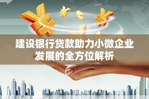 泽库建设银行贷款助力小微企业发展的全方位解析