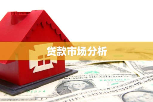 泽库贷款市场分析