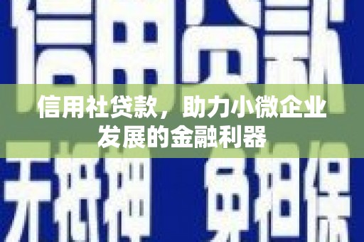 泽库信用社贷款，助力小微企业发展的金融利器