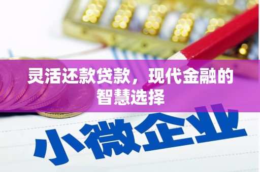 泽库灵活还款贷款，现代金融的智慧选择