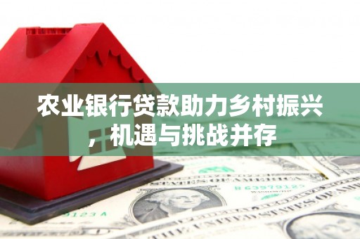 泽库农业银行贷款助力乡村振兴，机遇与挑战并存