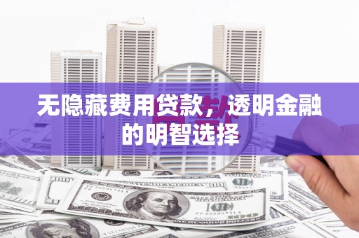 泽库无隐藏费用贷款，透明金融的明智选择