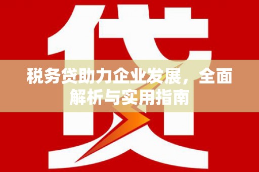 泽库税务贷助力企业发展，全面解析与实用指南