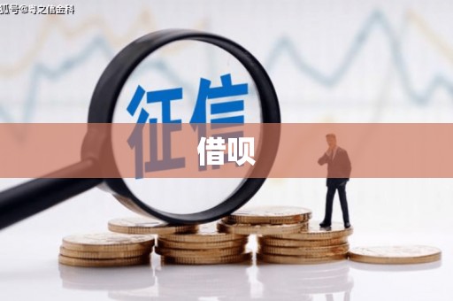 泽库借呗