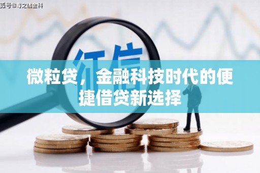 泽库微粒贷，金融科技时代的便捷借贷新选择
