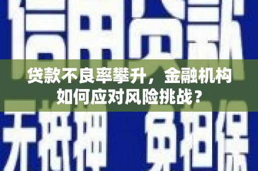 泽库贷款不良率攀升，金融机构如何应对风险挑战？