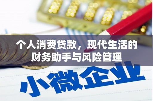 泽库个人消费贷款，现代生活的财务助手与风险管理