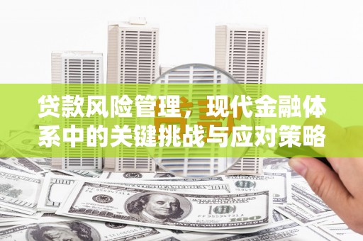 泽库贷款风险管理，现代金融体系中的关键挑战与应对策略