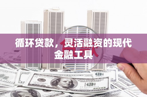 泽库循环贷款，灵活融资的现代金融工具