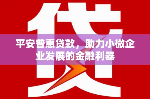 泽库平安普惠贷款，助力小微企业发展的金融利器