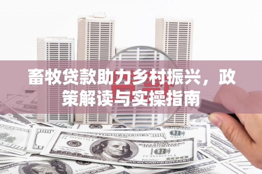 泽库畜牧贷款助力乡村振兴，政策解读与实操指南
